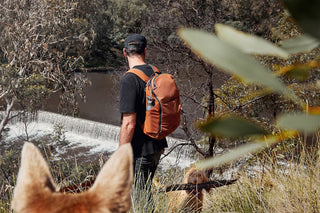 Bellroy Venture Ready Pack 26L Bronze