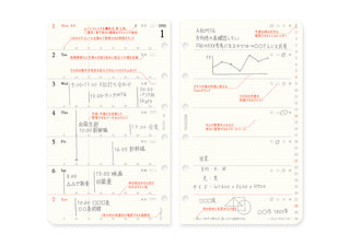 PLOTTER 2025 Weekly Schedule Diary Refill Mini Size