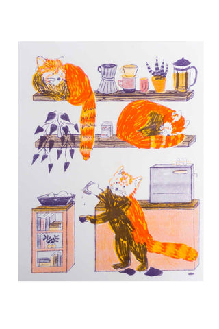 Red Panda Cafe Print by Maddy Conover