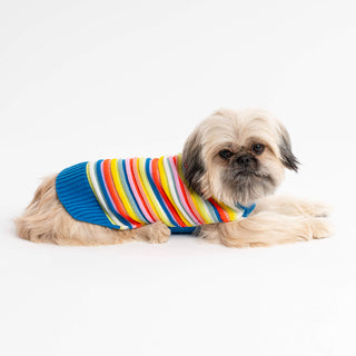 Verloop Circus Dog Sweater