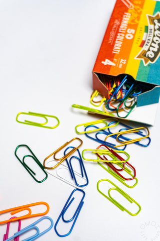 Leone Dell'Era Combo Pack Color Paper Clips