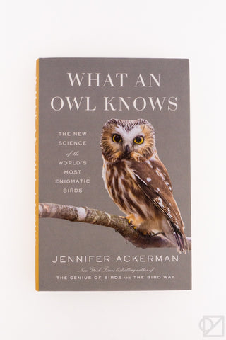 What An Owl Knows